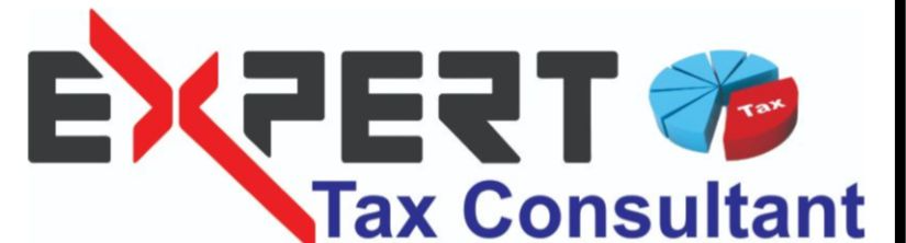 Expert Tax Consultant Logo